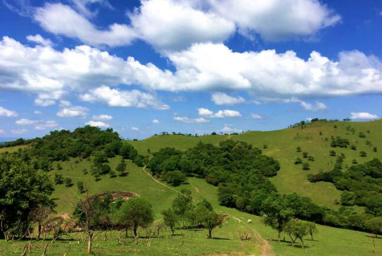 008PG国际(中国区)-官方网站