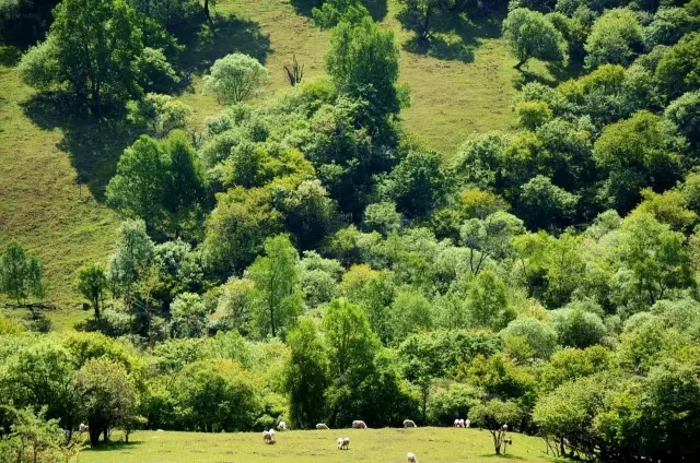 008PG国际(中国区)-官方网站