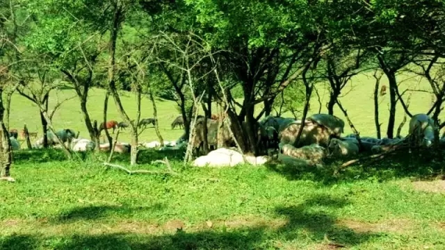 008PG国际(中国区)-官方网站