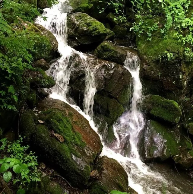 008PG国际(中国区)-官方网站