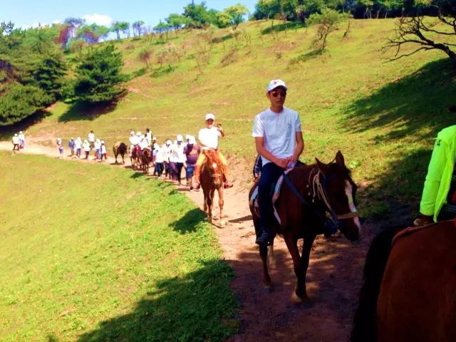 008PG国际(中国区)-官方网站