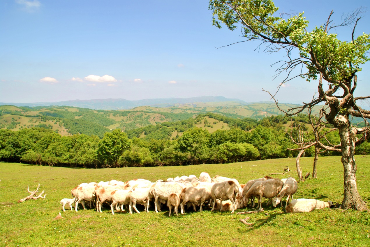 008PG国际(中国区)-官方网站