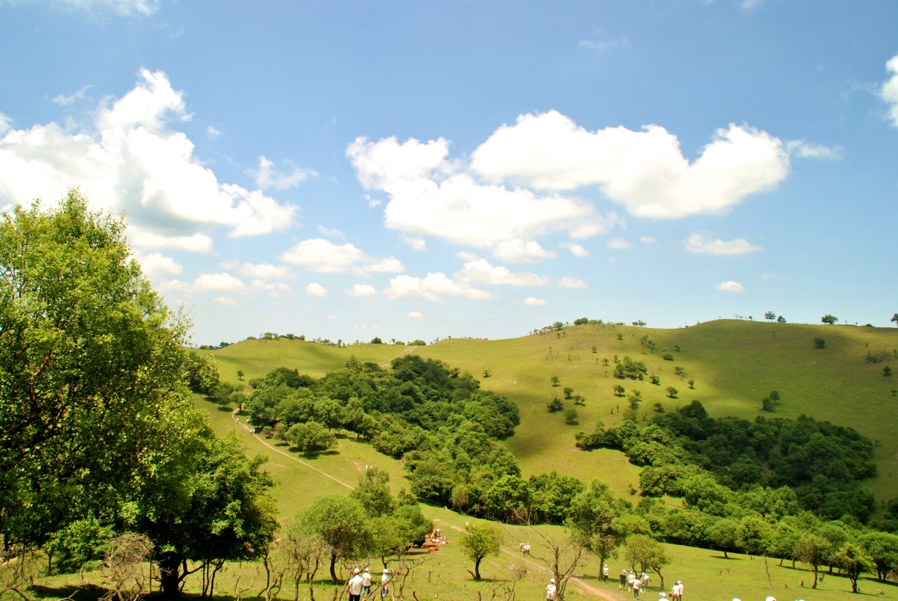 008PG国际(中国区)-官方网站