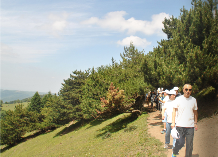 008PG国际(中国区)-官方网站