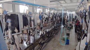 008PG����(�й���)-�ٷ���վ