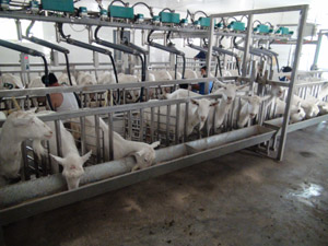 008PG����(�й���)-�ٷ���վ