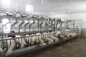 008PG����(�й���)-�ٷ���վ