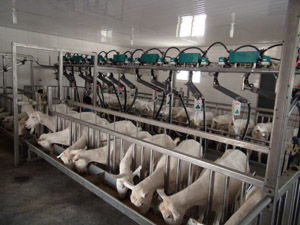 008PG����(�й���)-�ٷ���վ