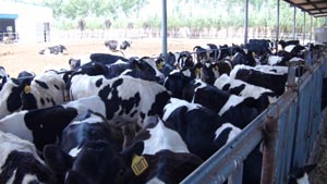 008PG����(�й���)-�ٷ���վ