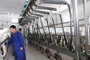 008PG����(�й���)-�ٷ���վ