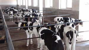 008PG����(�й���)-�ٷ���վ